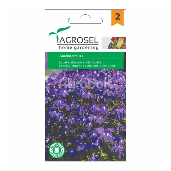 Kék lobélia vetőmag - Agrosel - 74067