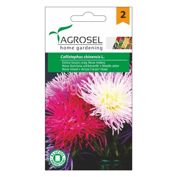 Nova őszirózsa színkeverék vetőmag - Agrosel - 74070