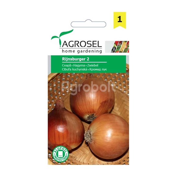 Rijnsburger 2 hagyma vetőmag