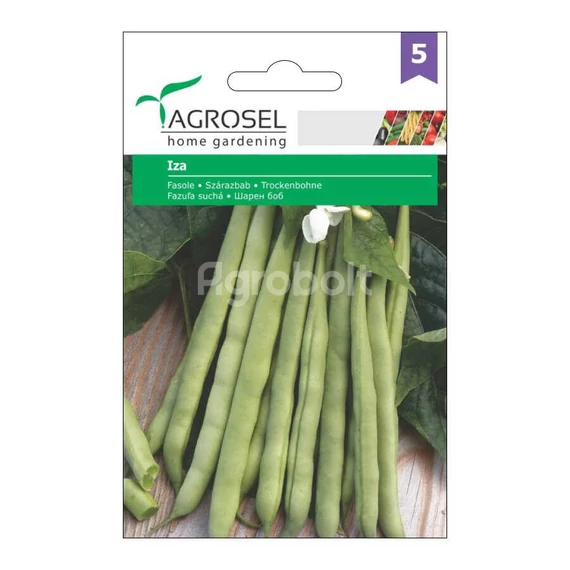 Szárazbab vetőmag Iza - Agrosel - 74037