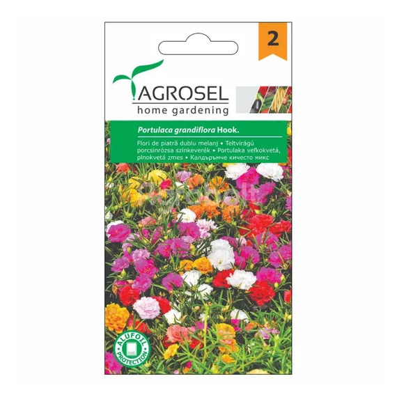 Teltvirágú porcsinrózsa színkeverék vetőmag - Agrosel - 74079