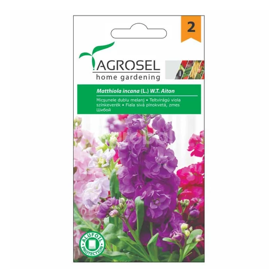 Teltvirágú viola színkeverék vetőmag - Agrosel - 74077