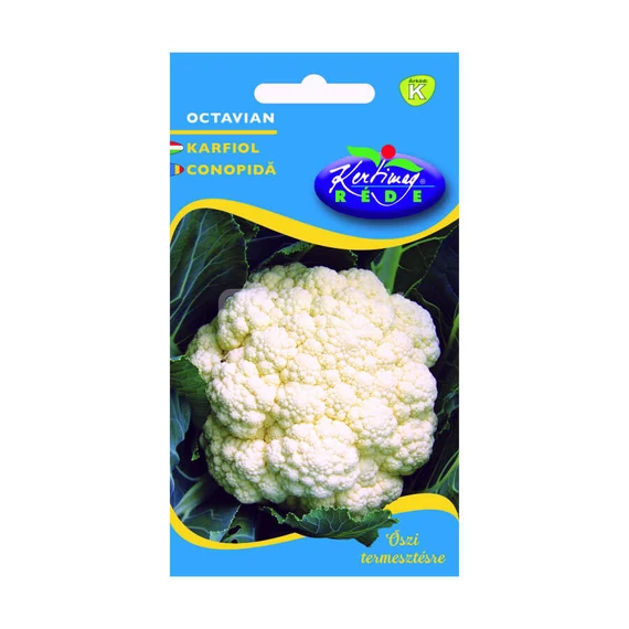 Karfiol vetőmag Octavian 0,5g - Rédei Kertimag - rkm70055