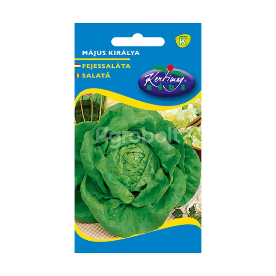 Fejessaláta vetőmag Május királya 3g - Rédei Kertimag - rkm70033