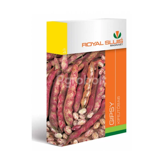 Kifejtőbab vetőmag  Gipsy 65g - Royal Sluis - rs7019