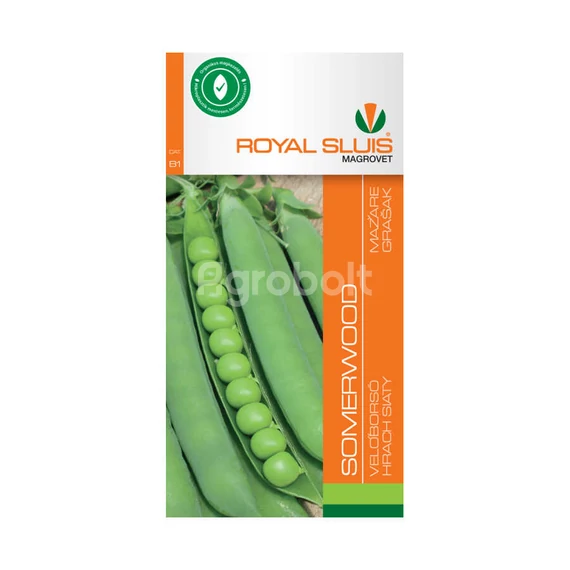 Zöldborsó vetőmag Somerwood 200g - Royal Sluis - rs7026