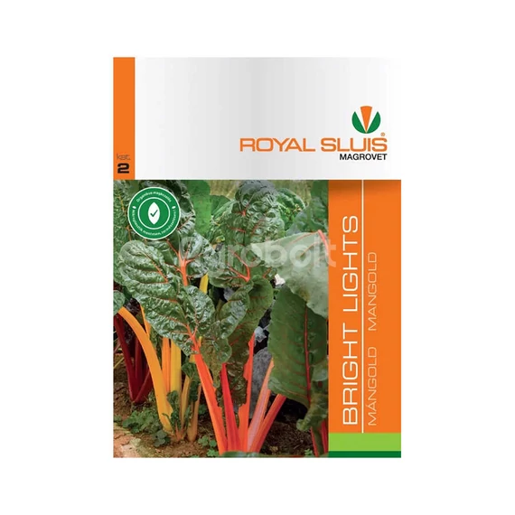 Mángold vetőmag Bright Lights
