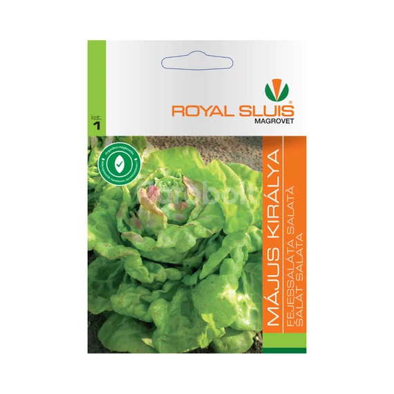 Fejessaláta vetőmag Május királya 2,5g - Royal Sluis - rs7018