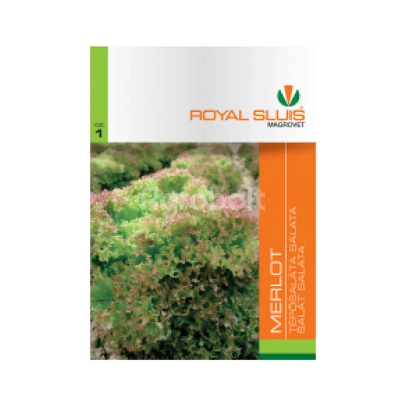 Tépősaláta vetőmag Merlot 5g - Royal Sluis - rs7017