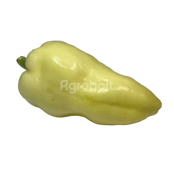 Paprika termés Amy Rédei Kertimag