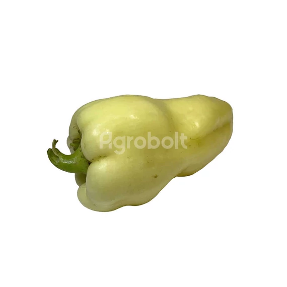 Paprika termés Amy Rédei Kertimag