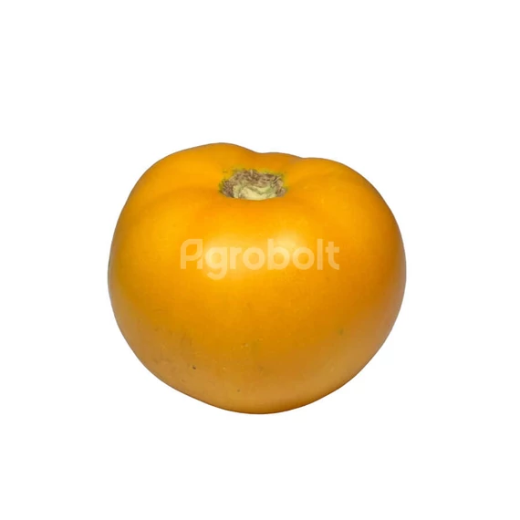 Bacovia paradicsom termése