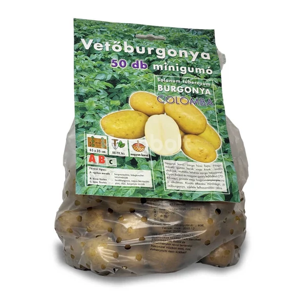 Vetőburgonya Colomba 50 gumós