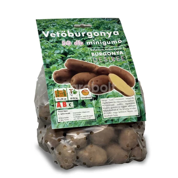 Vetőburgonya Desiree 50 gumós