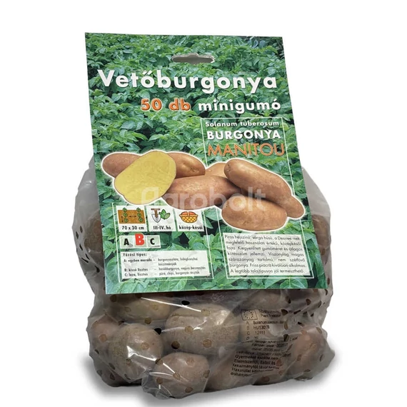 Vetőburgonya Manitou 50 gumós
