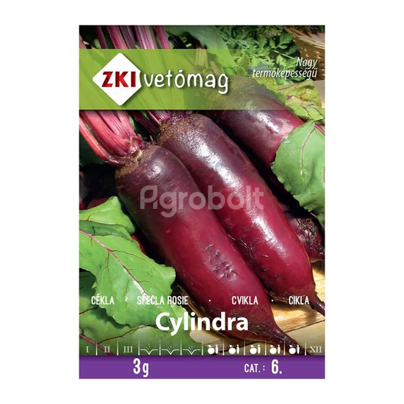 Cylindra cékla vetőmag 3g ZKI vetőmag