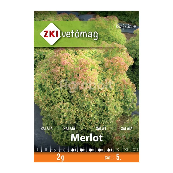Merlot tépősaláta vetőmag 2g ZKI vetőmag 