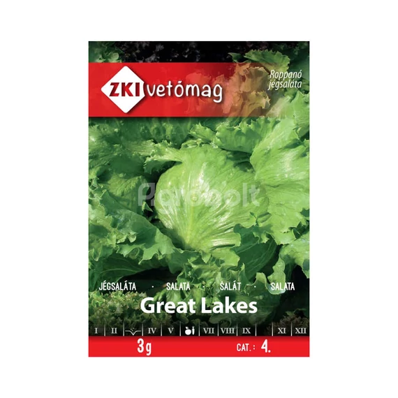 Saláta vetőmag Great Lakes 3g - ZKI vetőmag - zki7042