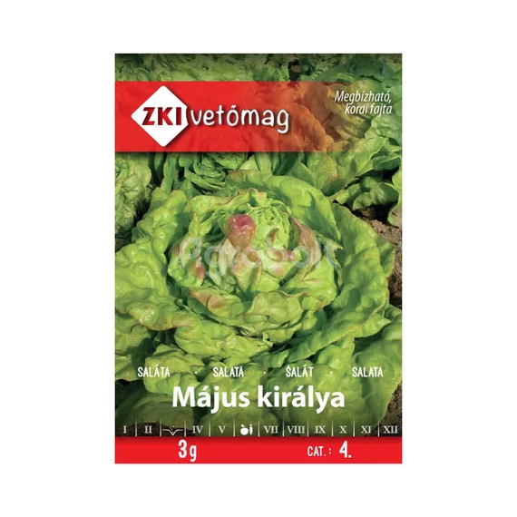 Saláta vetőmag Május királya 3g - ZKI vetőmag - zki7041