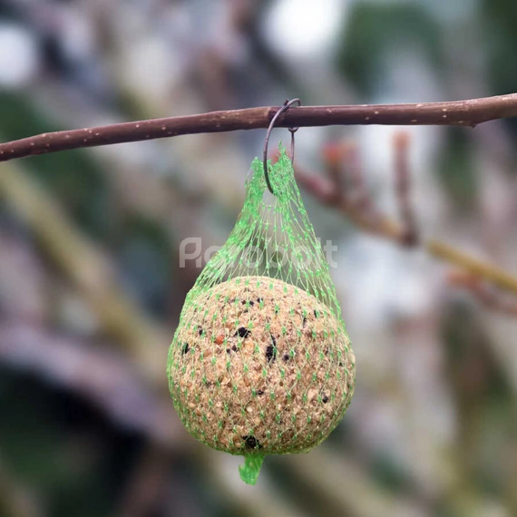 Cinkegolyó madáreleség