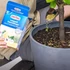 Kép 2/2 - Citrus és mediterrán növény trágya - Substral Osmocote