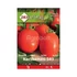 Paradicsom vetőmag Kecskeméti 549 1g - ZKI vetőmag - zki7015