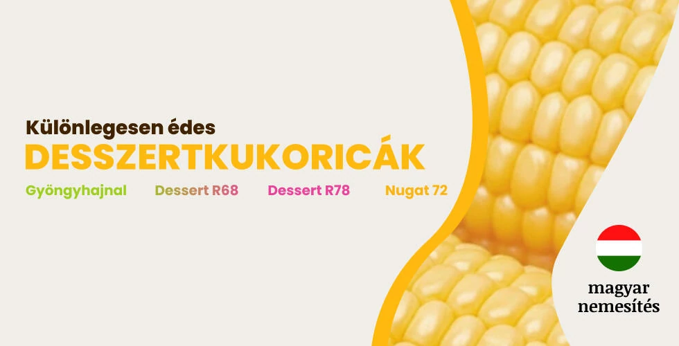 Csemegekukorica vetőmagok kedvező áron