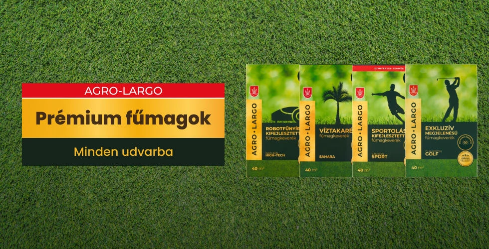 Fűmagok kedvező áron