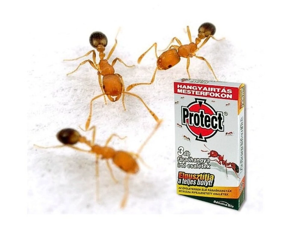 Protect fáraóhanygairtó csalétek - 3 x 2,5 g