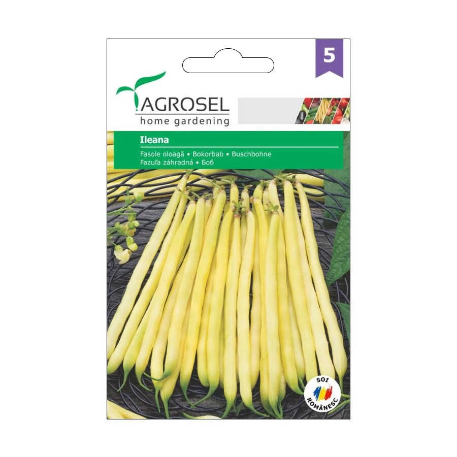 Bokorbab vetőmag Ileana 30 g - Agrosel