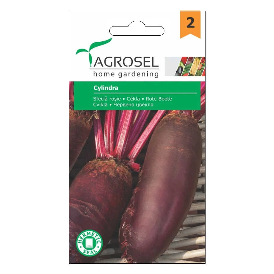 Cékla vetőmag Cylindra 4 g - Agrosel