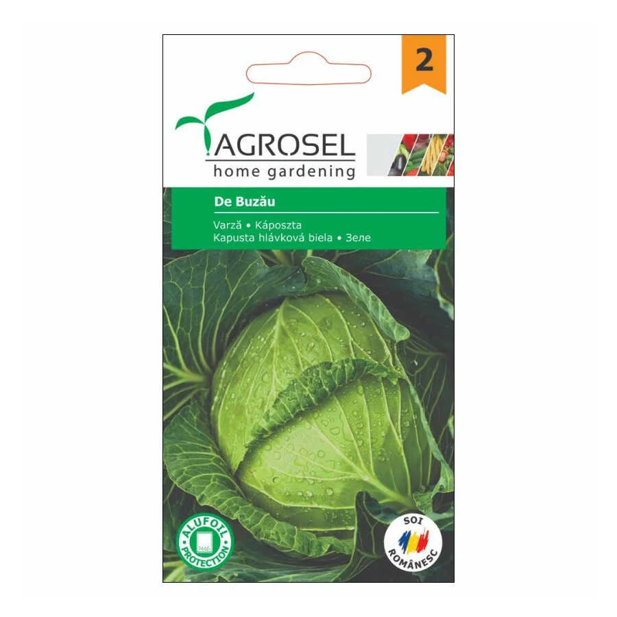 Káposzta vetőmag De Buzau - Agrosel
