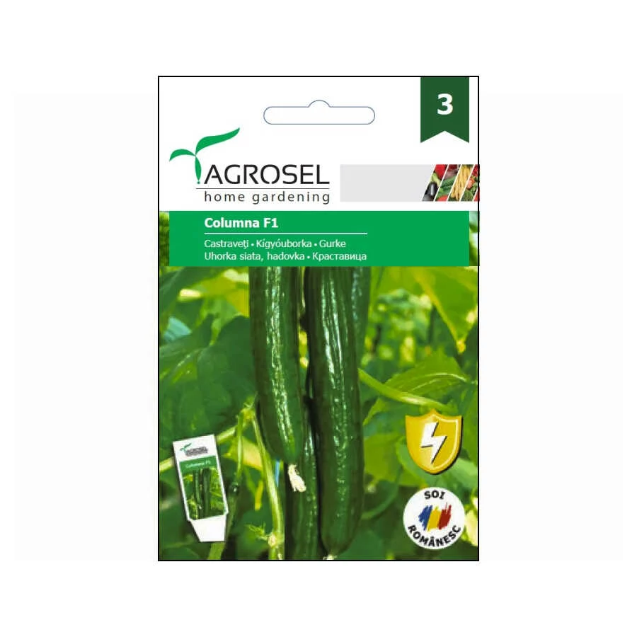 Uborka vetőmag Columna F1 10 szem - Agrosel