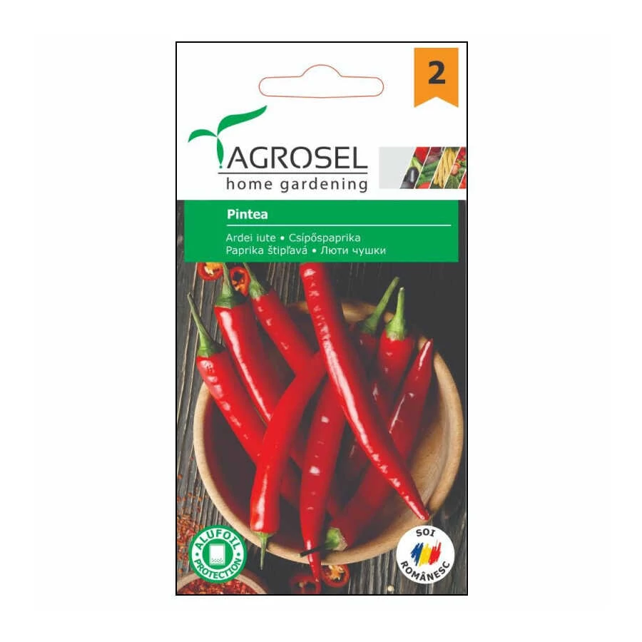 Paprika vetőmag Pintea 0,8 g - Agrosel