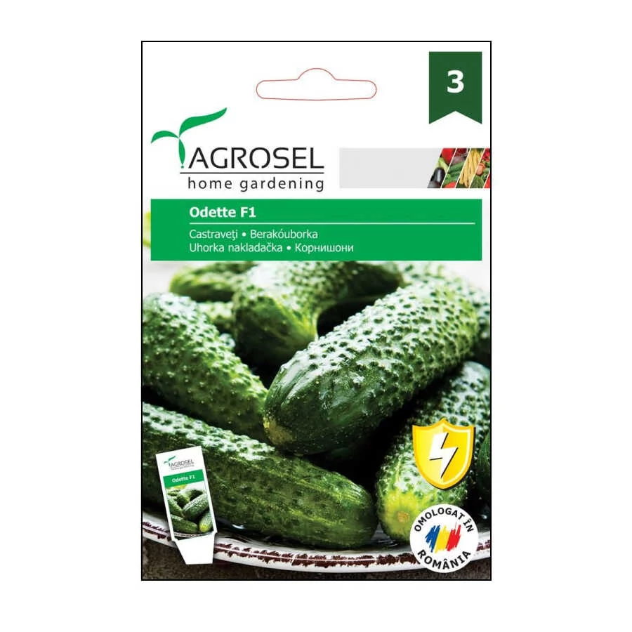 Uborka vetőmag Odette F1 20 szem - Agrosel