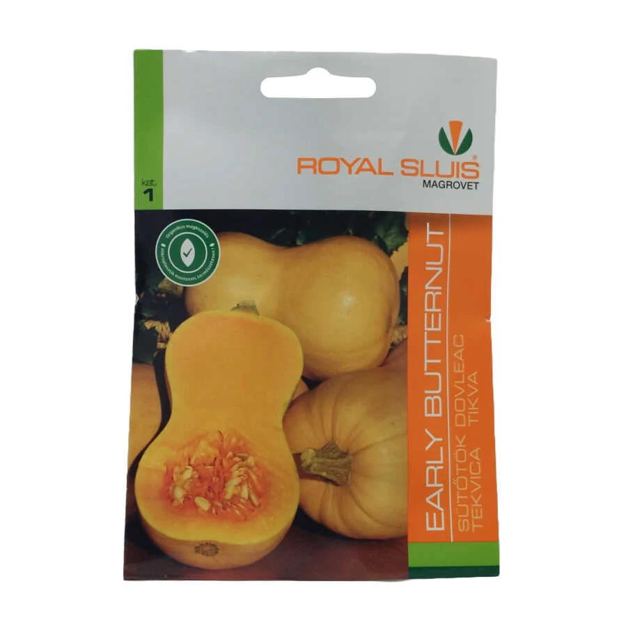 Sütőtök vetőmag Early Butternut - Royal Sluis