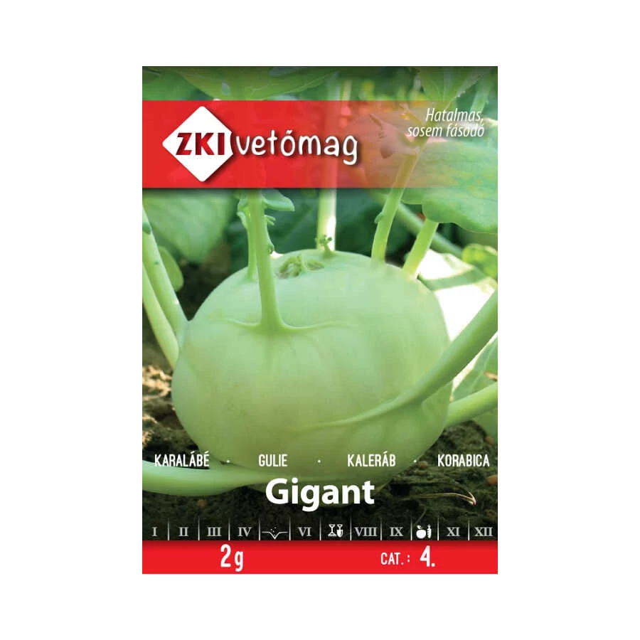 Karalábé vetőmag Gigant 2g - ZKI vetőmag